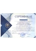 Сертификат  Добросовестного Поставщика