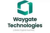 Плоскопанельные детекторы DXR75P-HR и DXR140P-HC Waygate Technologies