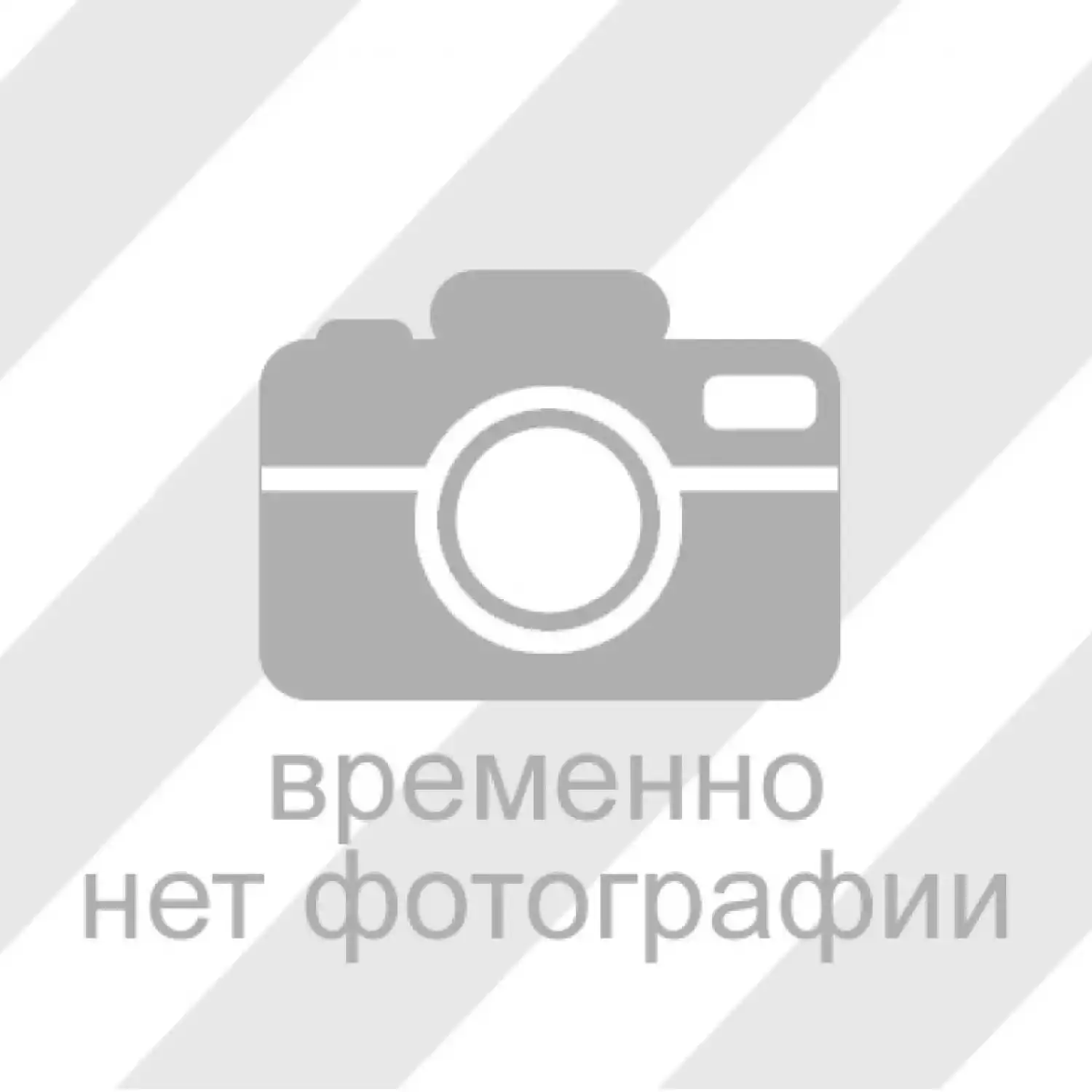 Зарядное устройство GeoMax ZCH700 - 1