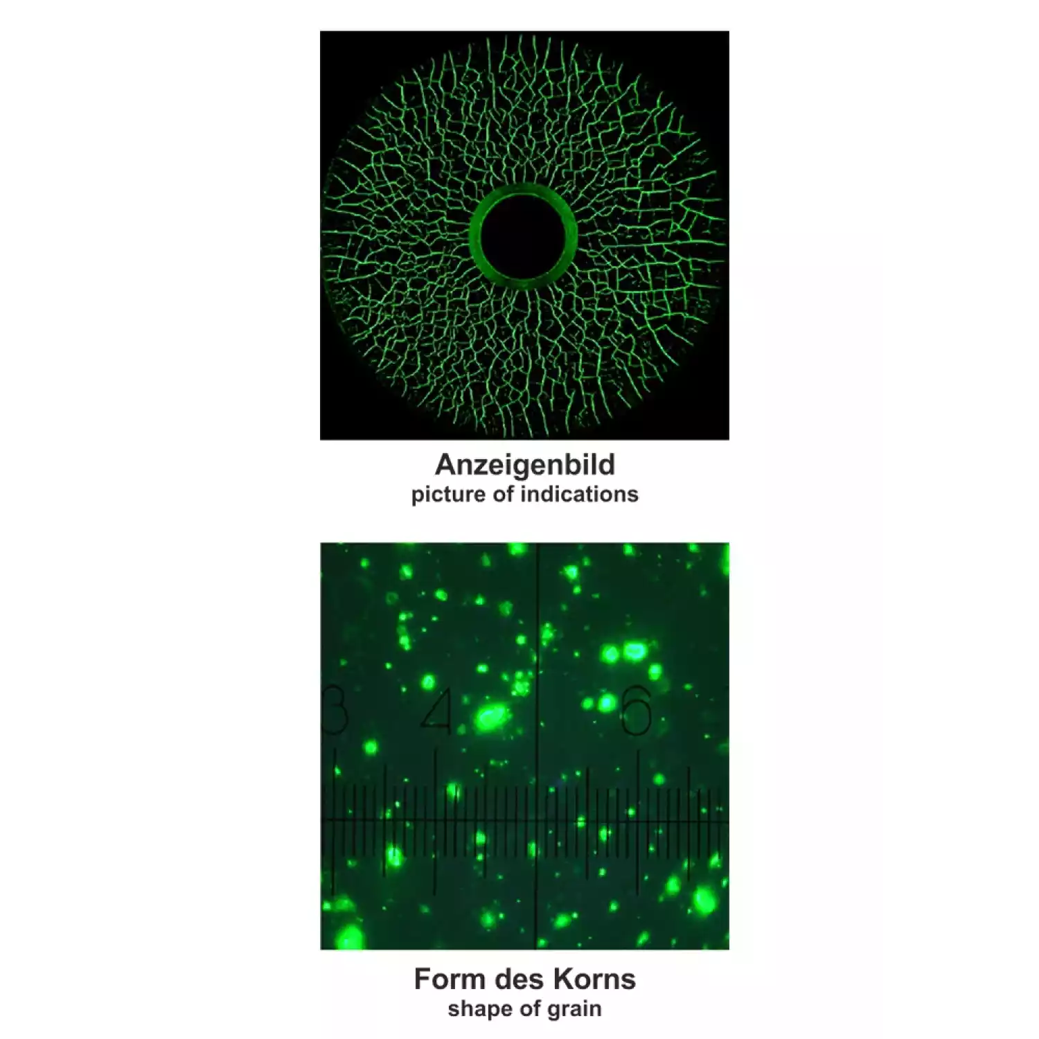 Helling Super Magna LY 2300 сухой концентрат 1 кг  концентрата для 100 литров суcпензии - 1