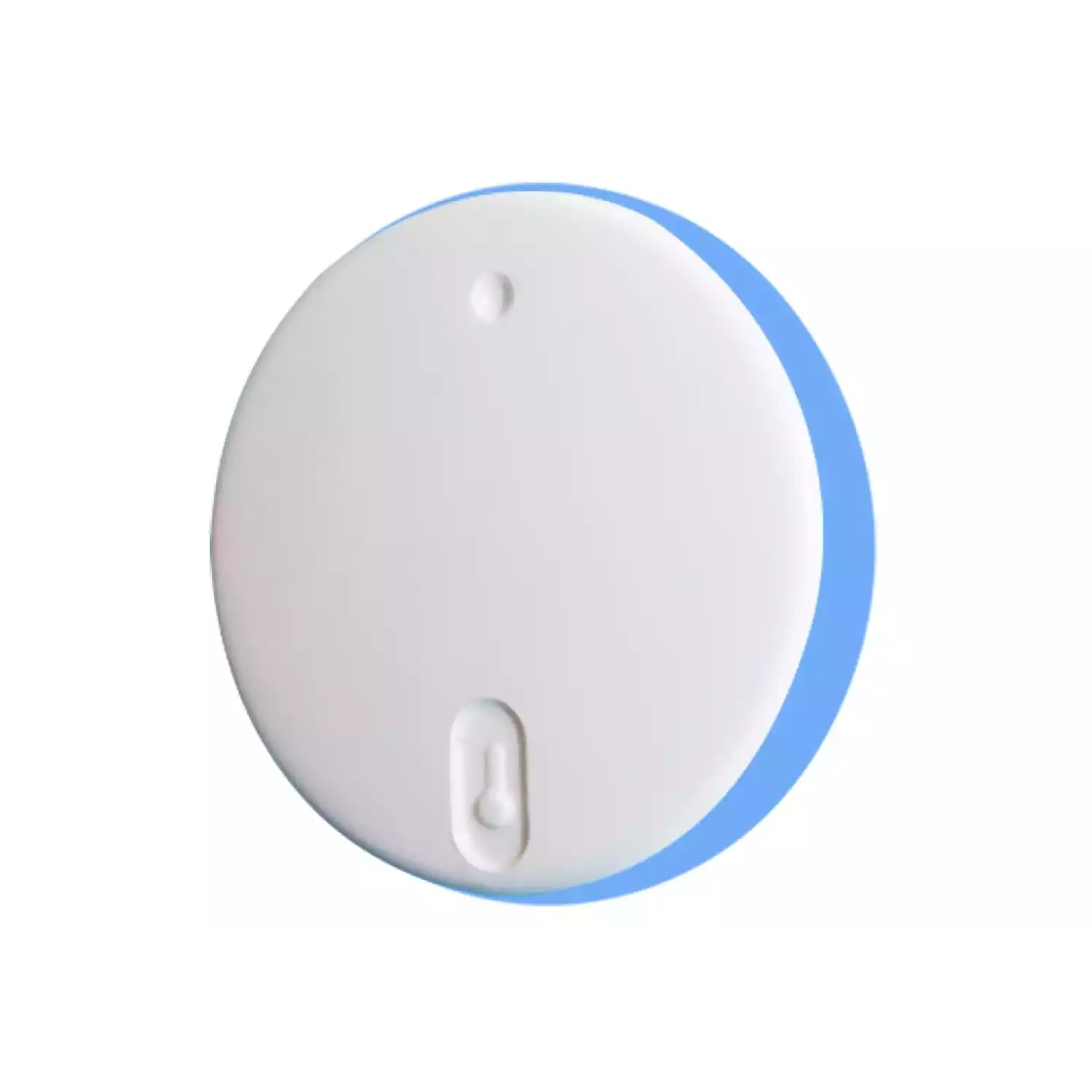 Bluetooth-термометр RELSIB WT52 - 2