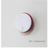 Bluetooth-термометр RELSIB WT52 купить в Москве