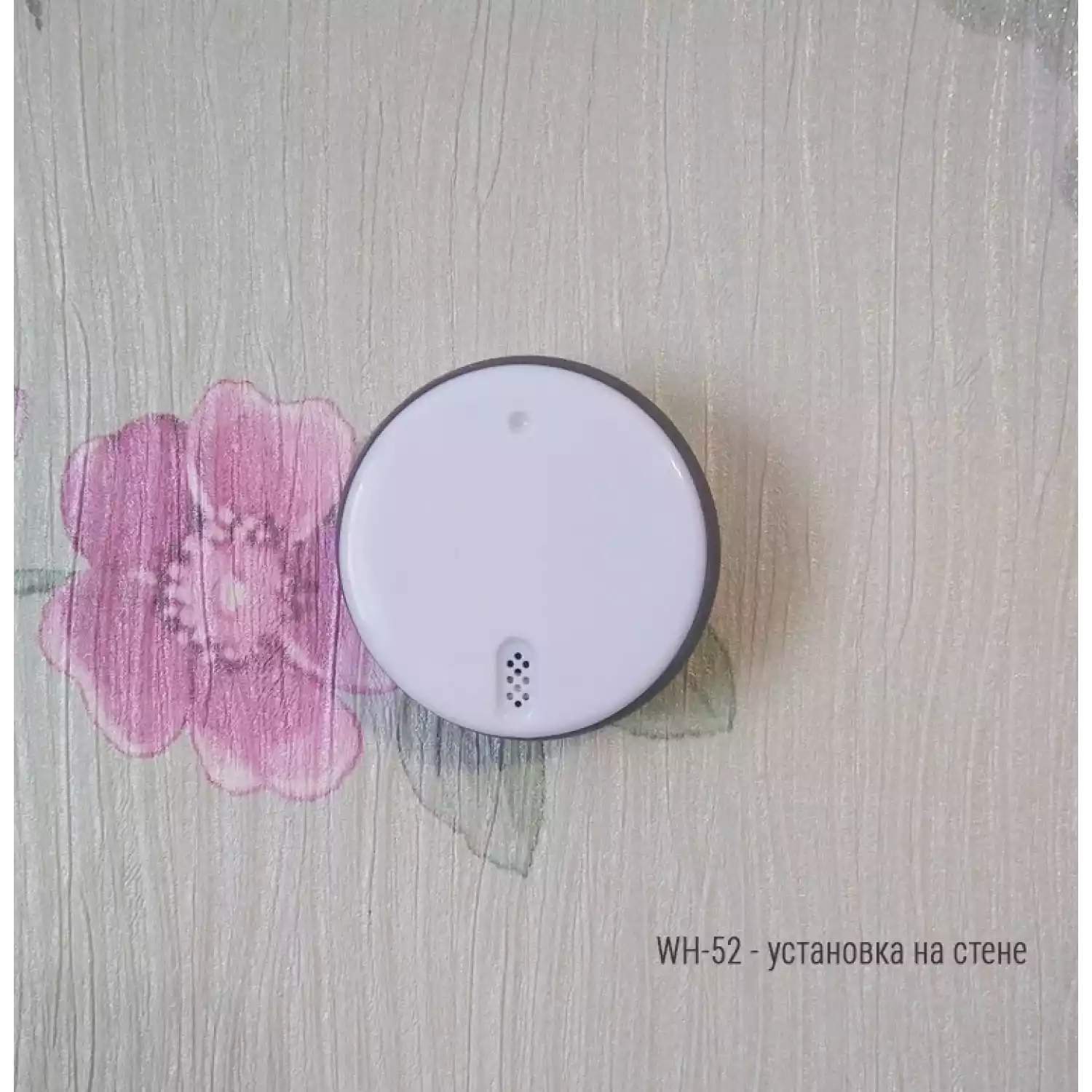 Bluetooth-термометр RELSIB WH52 - 3