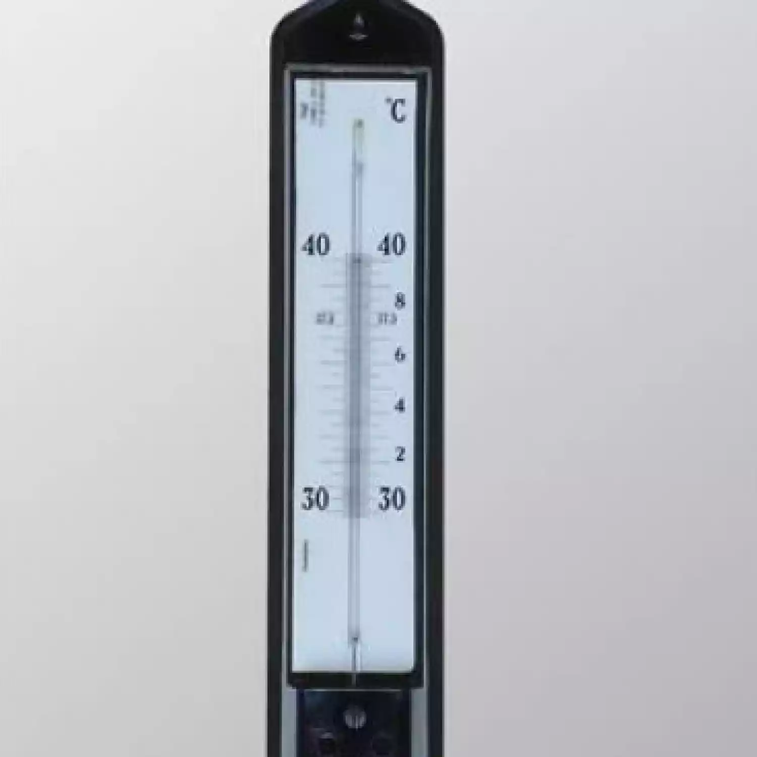 Термометр для сельского хозяйства и инкубаторов ТС-12 - 1