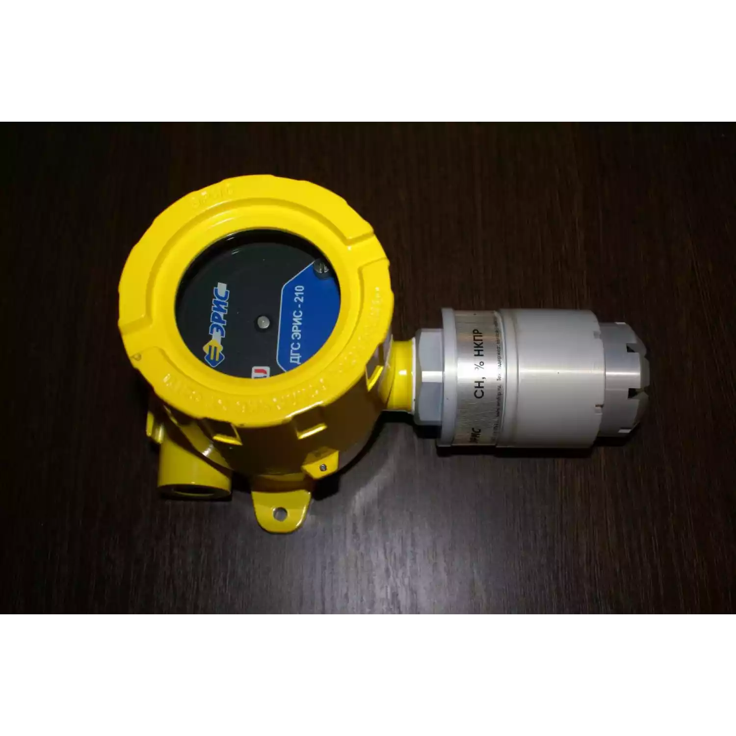 ДГС ЭРИС-210 RT датчик-ретранслятор - 3