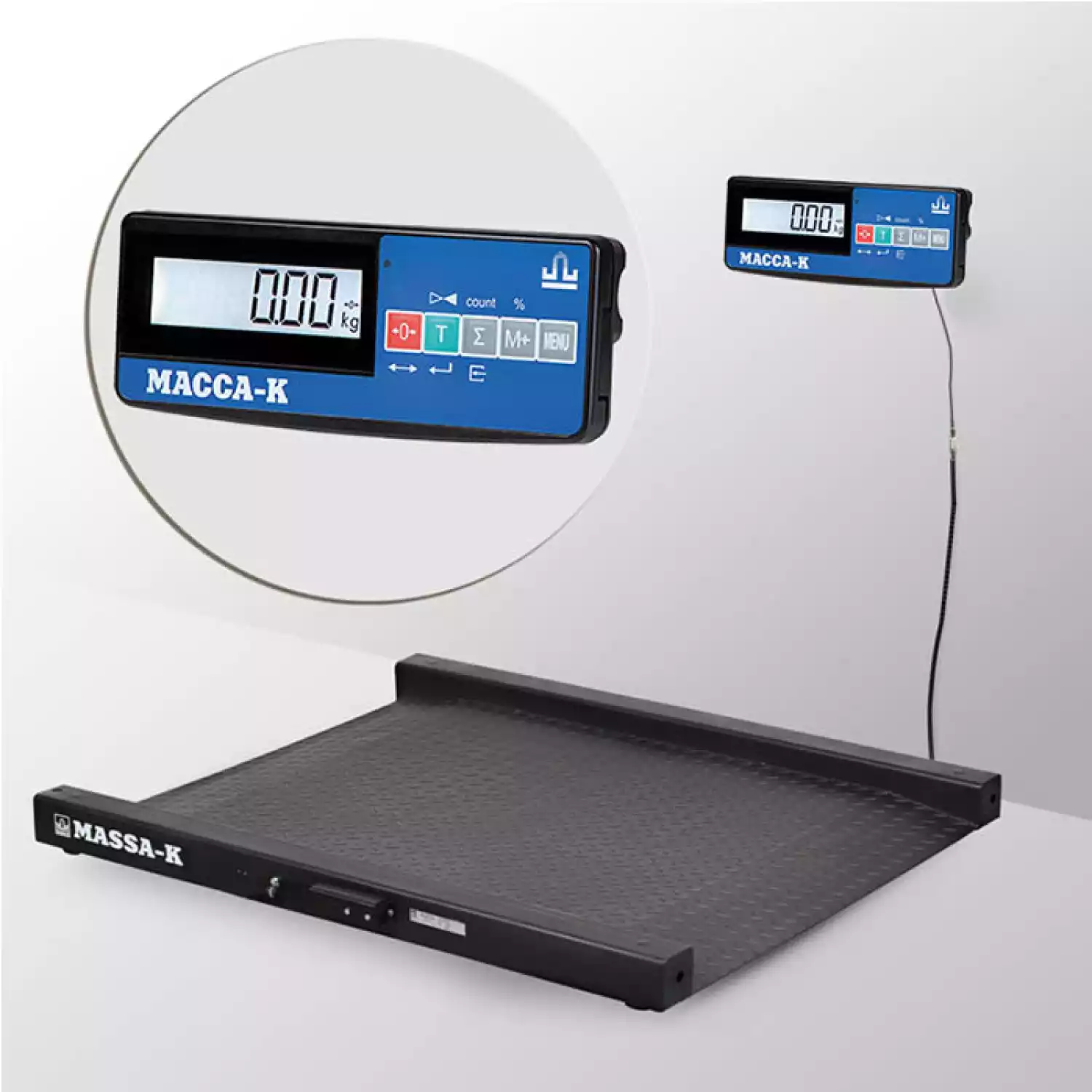 Весы платформенные электронные 4D-LM-10/10-1000-A(RUEW) - 1