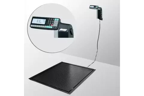 Весы платформенные электронные врезные с печатью этикеток 4D-PMF-12/10-500-RL