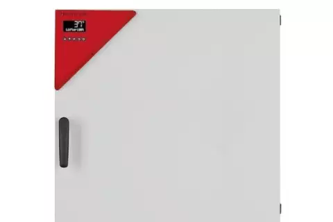 Инкубатор BD 115 Binder (Германия)