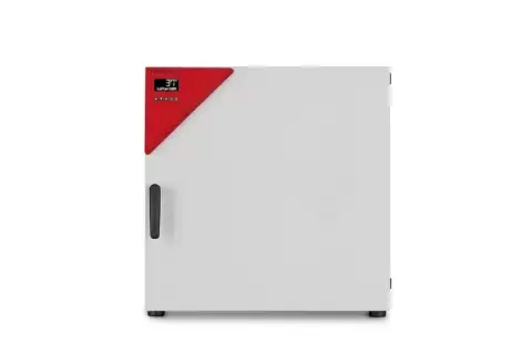 Инкубатор BD 115 Binder (Германия)