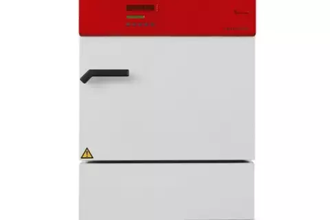 Инкубатор KB 53 Binder (Германия)