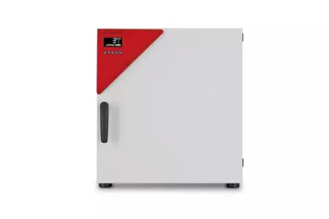 Инкубатор BF 53 Binder (Германия)