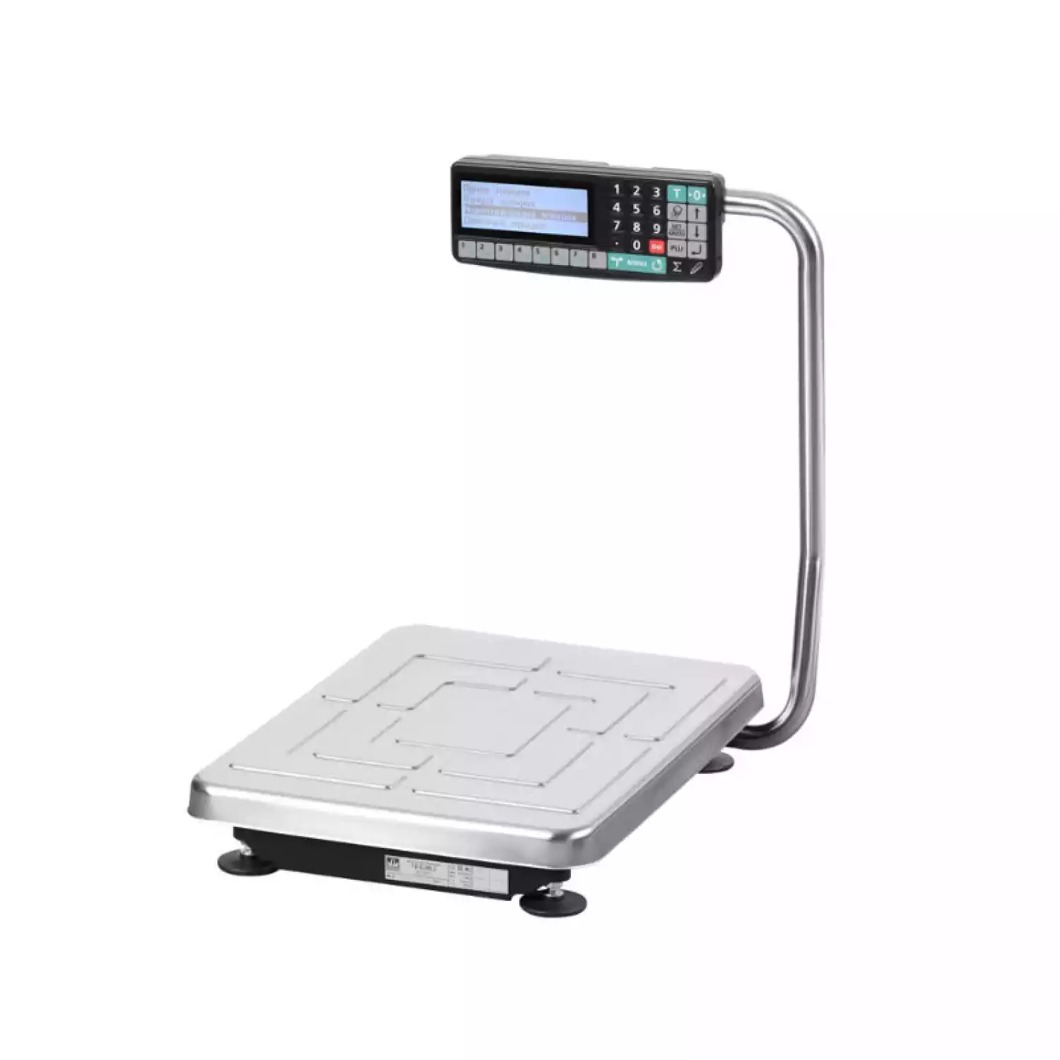 TB-S-200.2-RA.2 весы товарные - 1