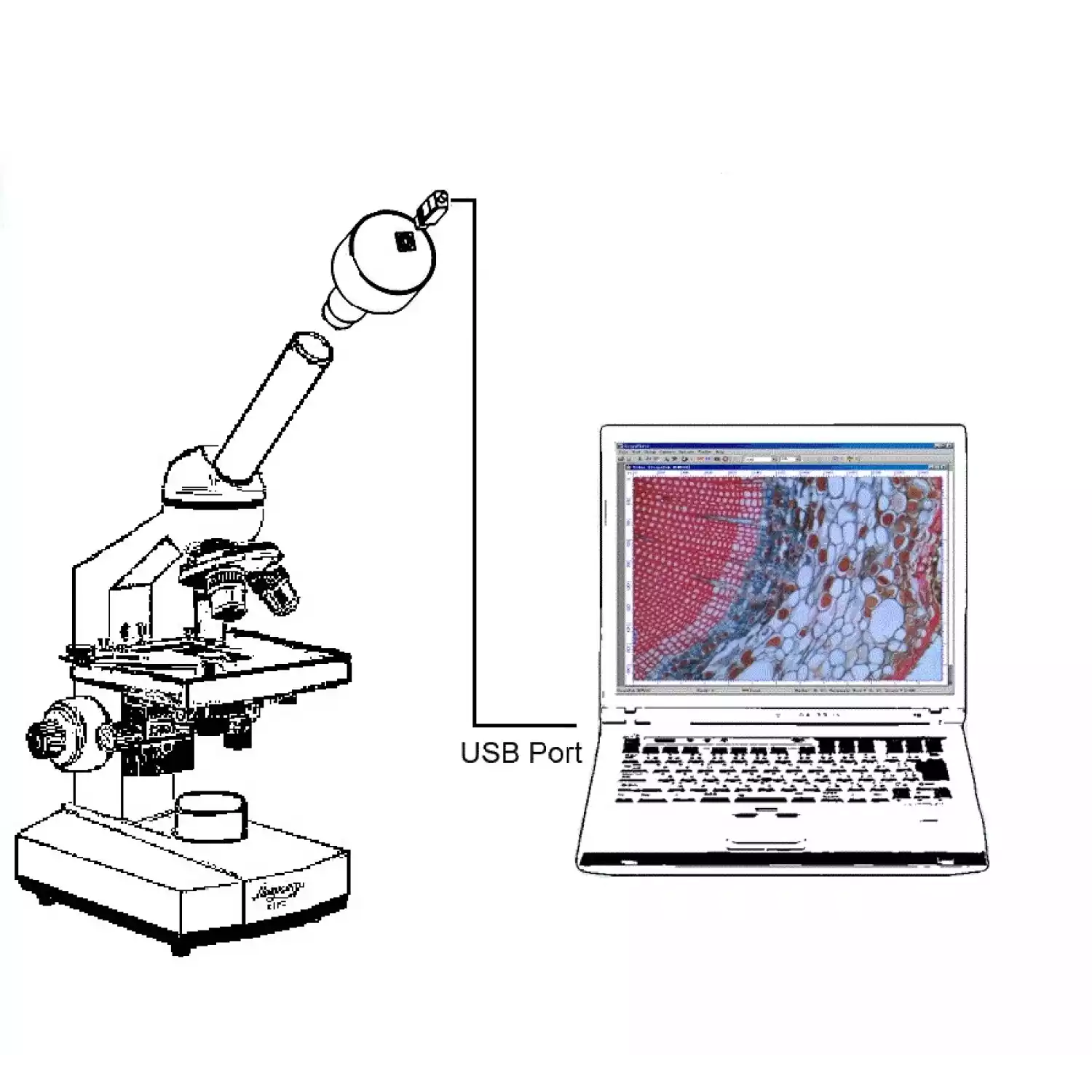 Микроскоп Микромед C-1-LED - 6