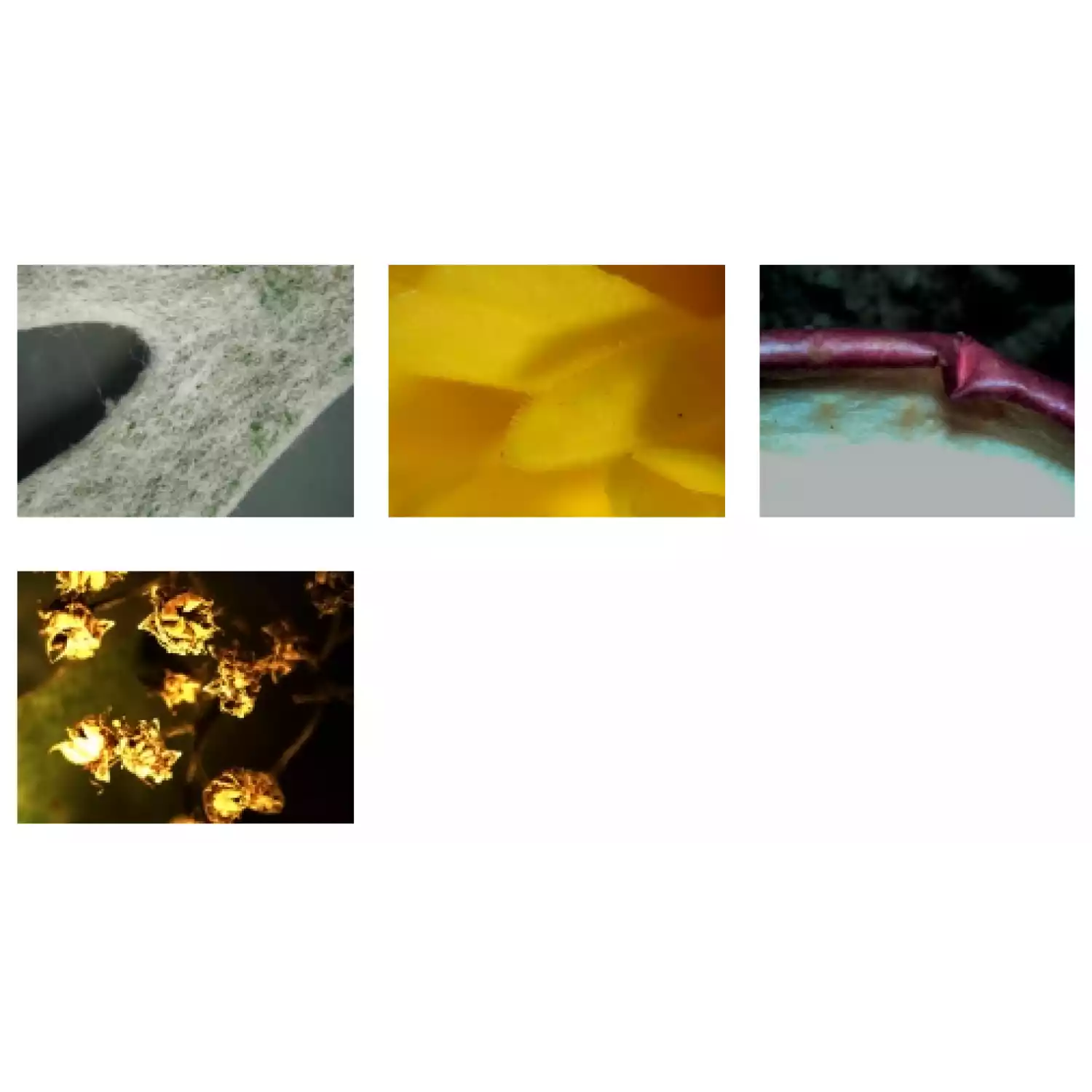 Микроскоп Микромед MC-2-ZOOM вар.1А - 6