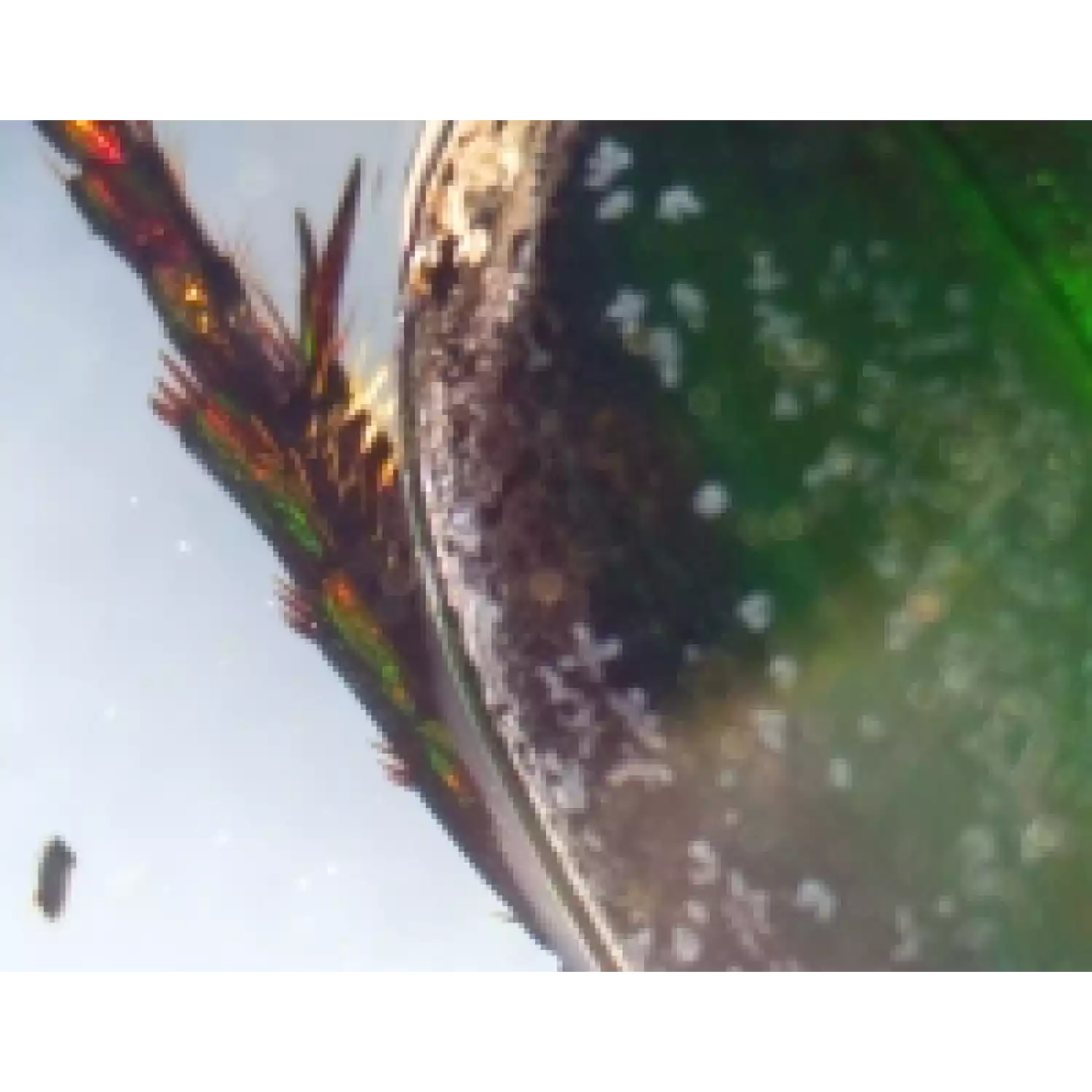 Микроскоп Микромед MC-2-ZOOM вар.1СR - 5