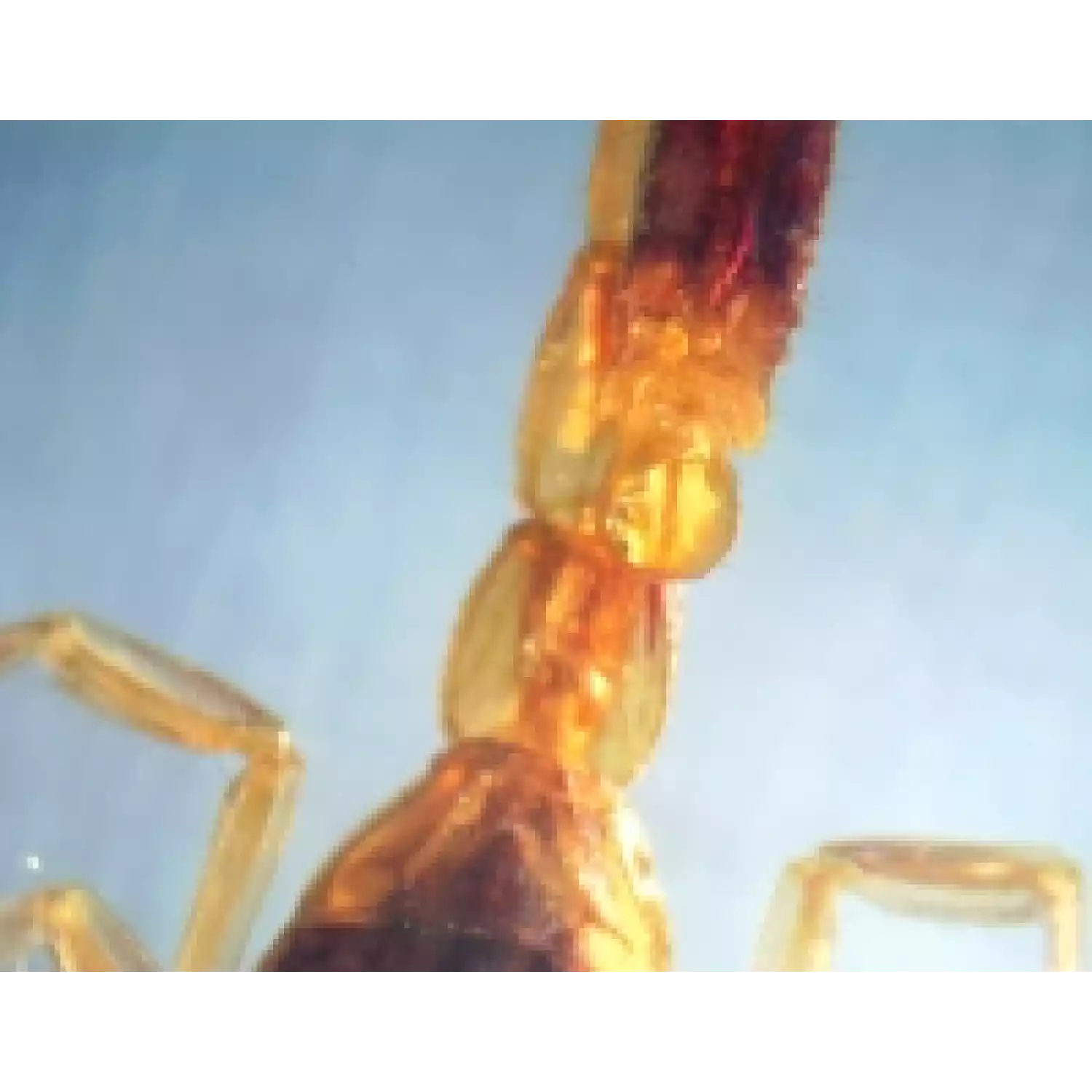 Микроскоп Микромед MC-2-ZOOM вар.1СR - 4