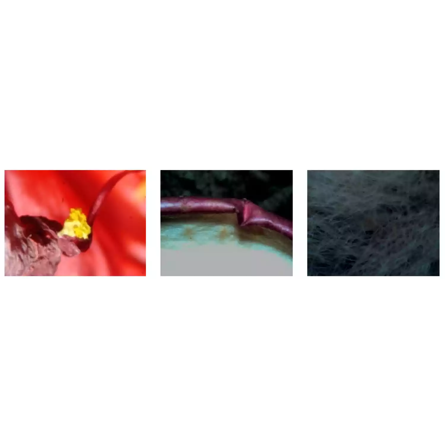 Микроскоп Микромед MC-2-ZOOM вар.2А - 5