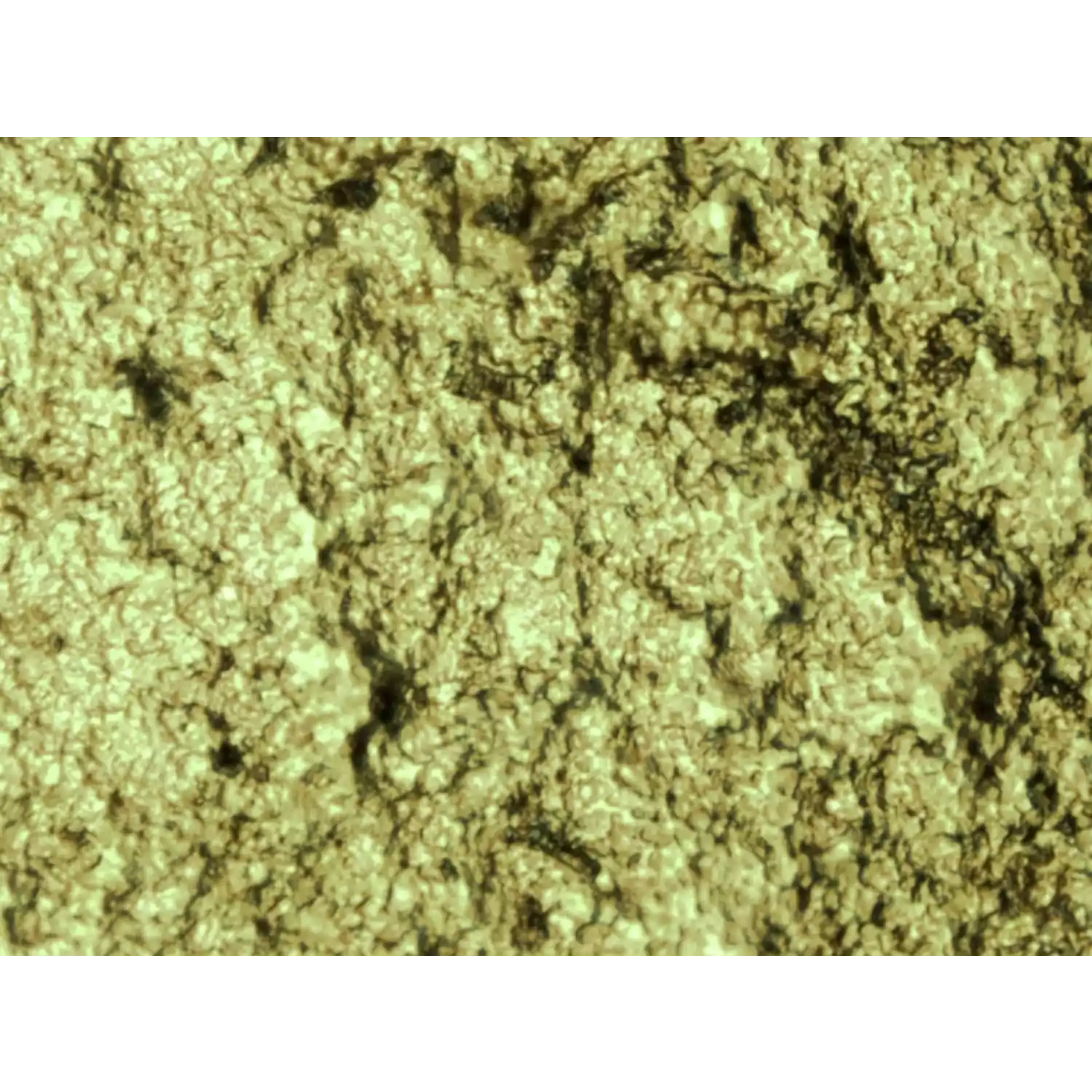 Микроскоп Микромед МЕТ-2 - 10