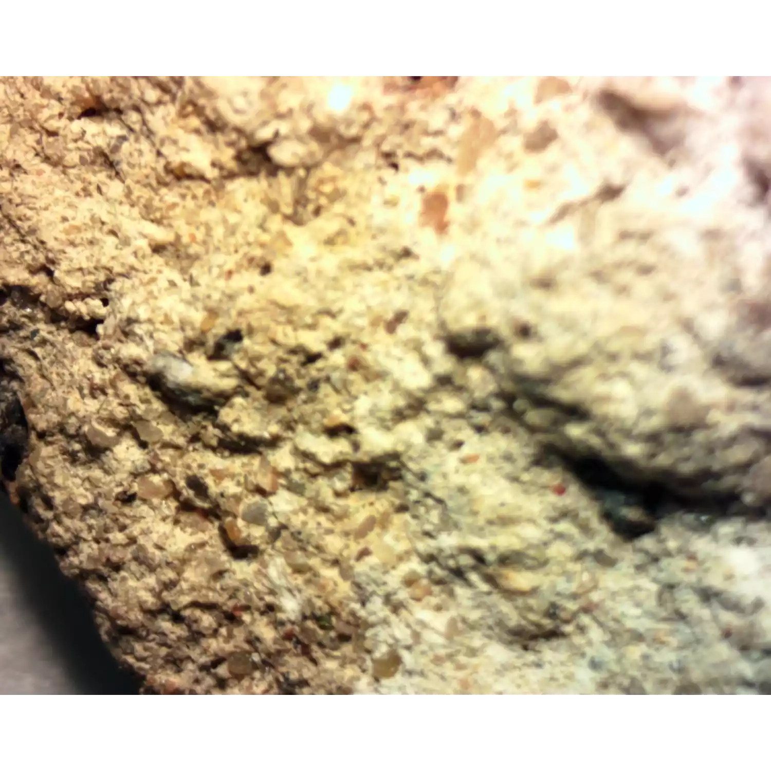 Микроскоп стерео Микромед МС-1 вар. 1В - 4