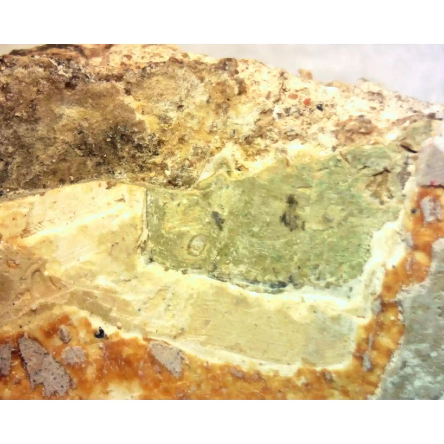 Микроскоп стерео Микромед МС-1 вар. 1В - 5