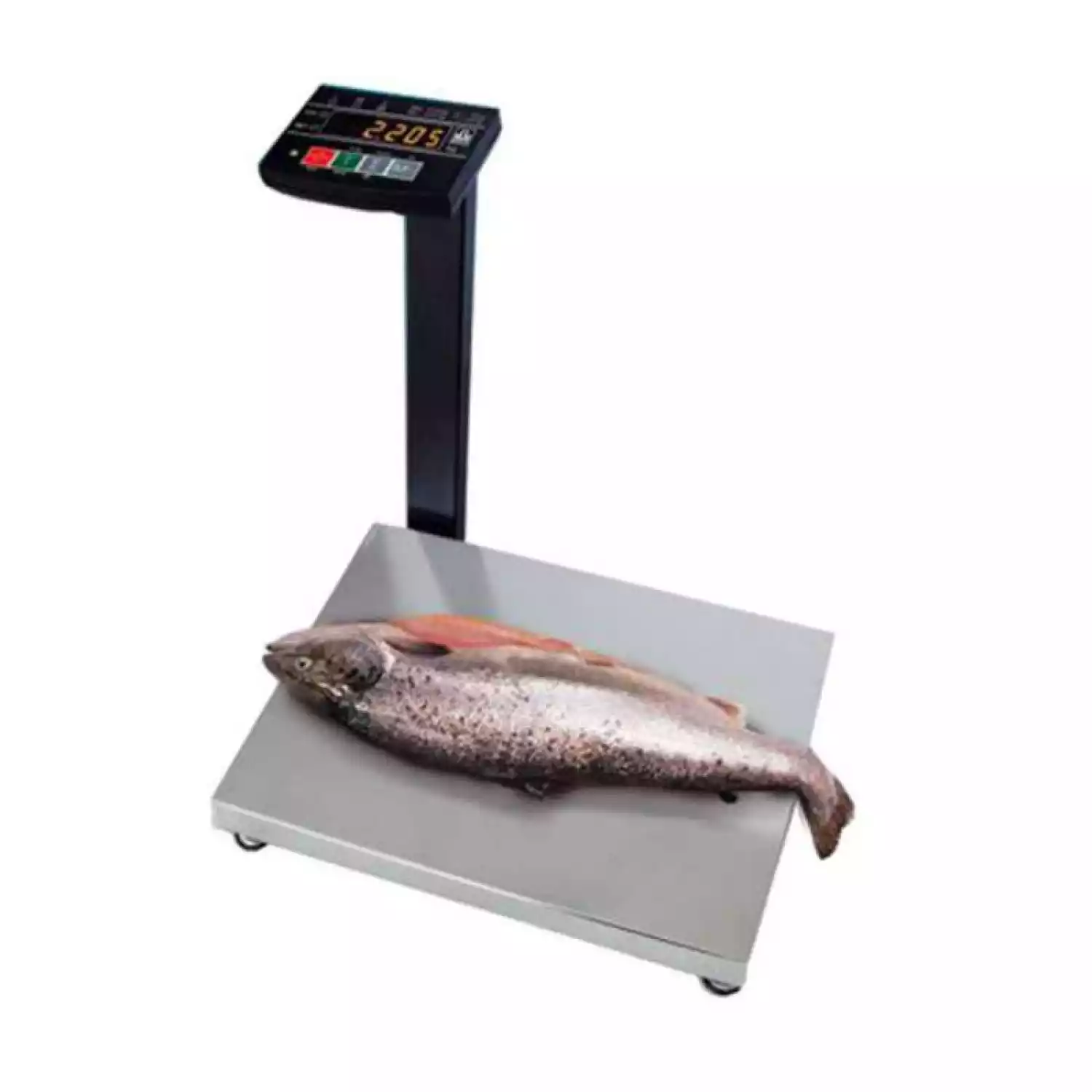 Весы фасовочные электронные пыле-влагозащищенные МК-3.2-АВ20 - 2