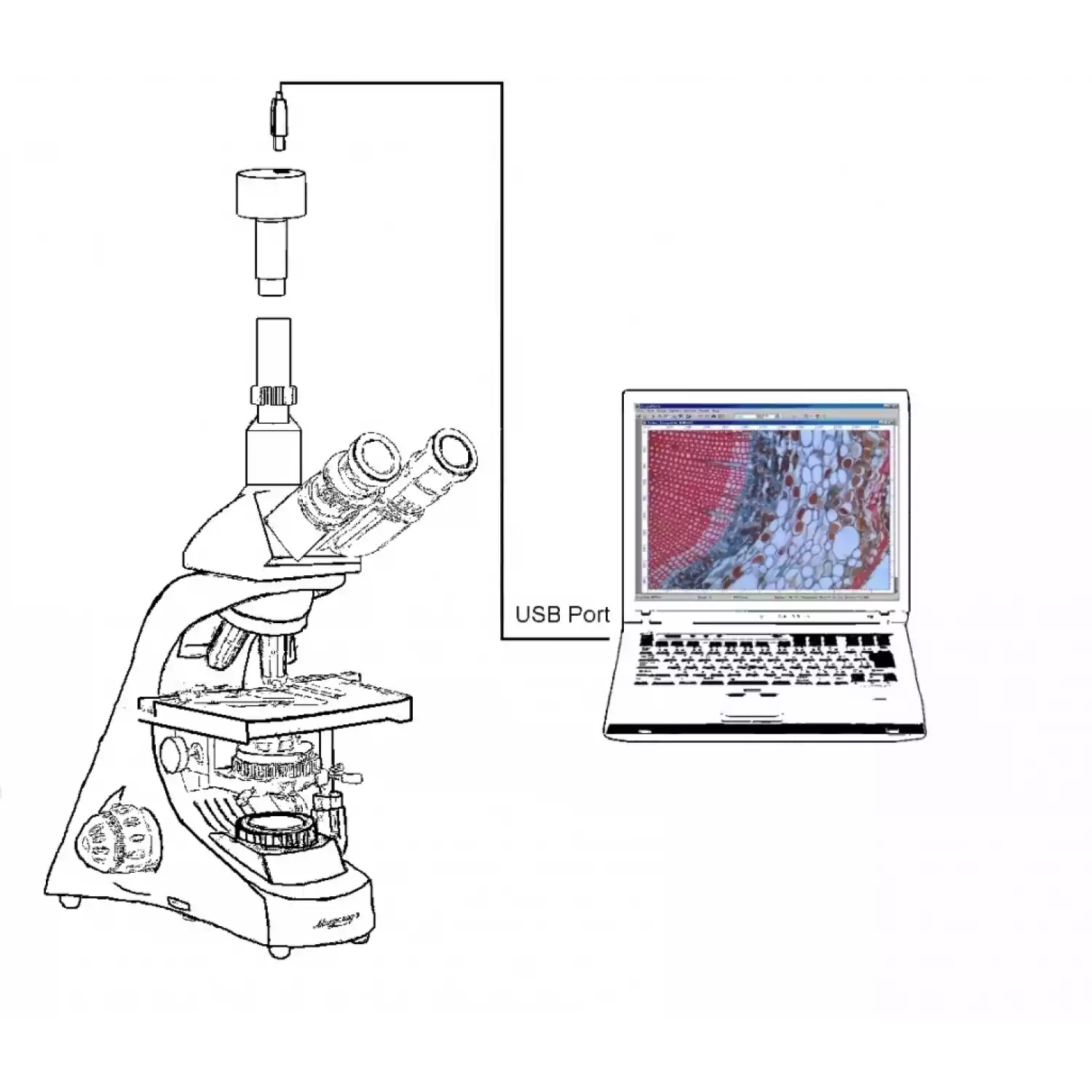 Микроскоп тринокулярный Микромед 3 вар. 3-20 - 6