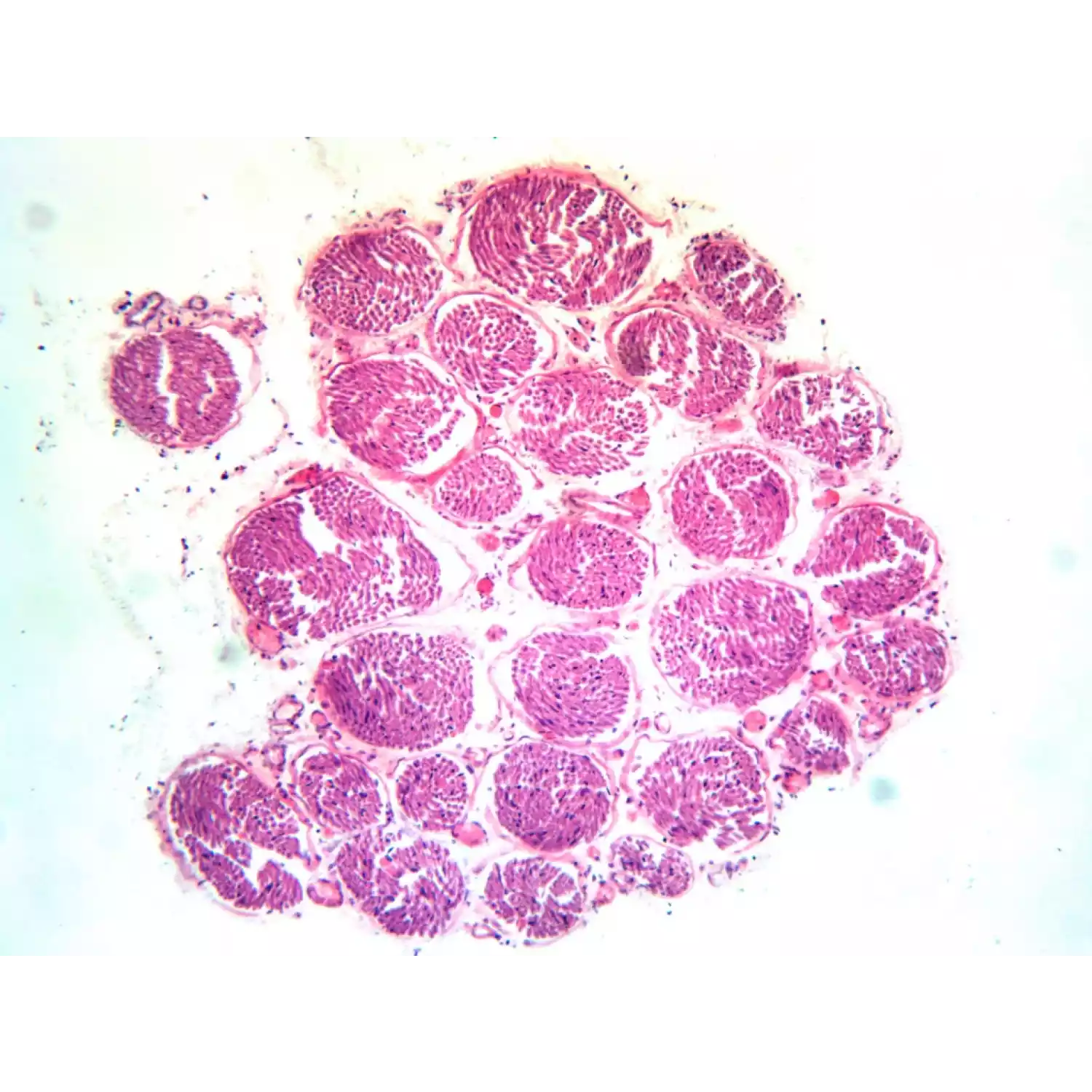 Микроскоп тринокулярный Микромед 3 вар. 3-20М - 4