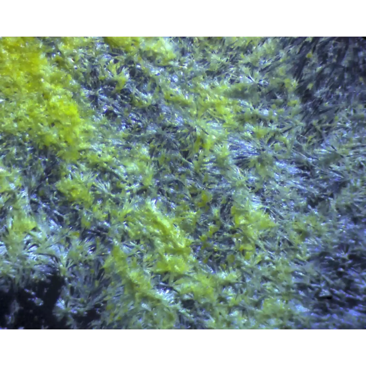 Микроскоп школьный Эврика 40х-1280х с видеоокуляром в кейсе - 5