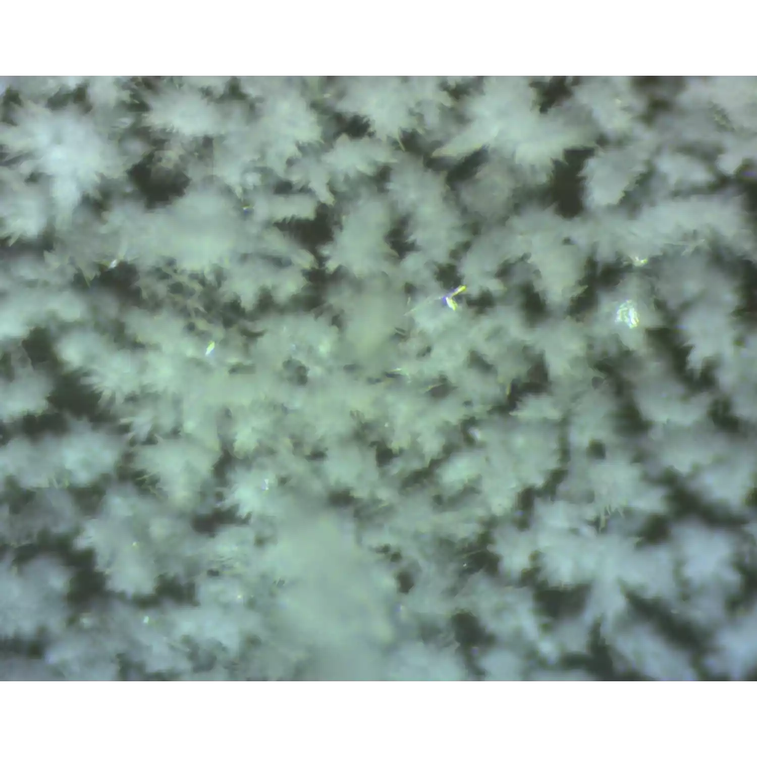 Микроскоп школьный Эврика 40х-1280х с видеоокуляром в кейсе - 3