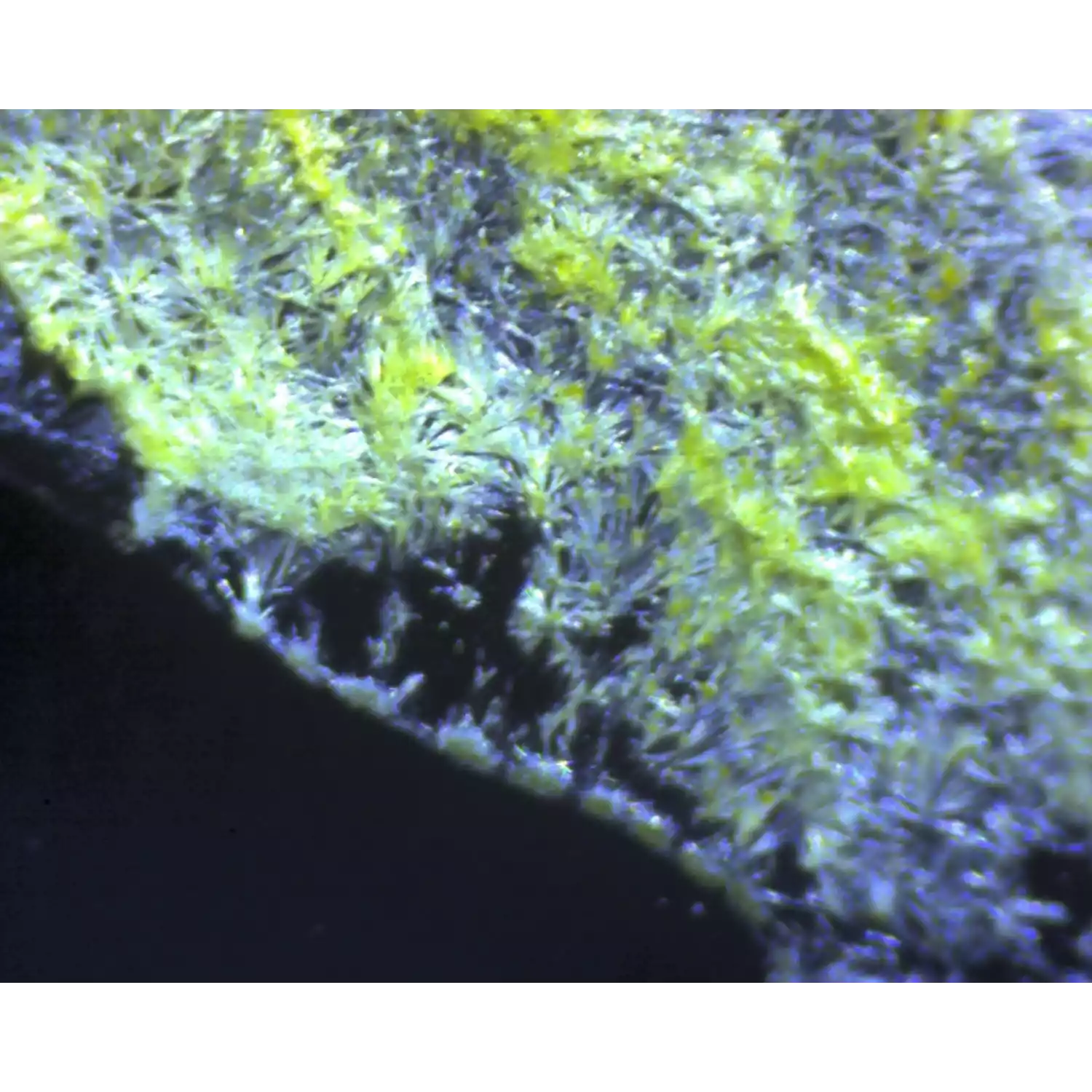 Микроскоп школьный Эврика 40х-1280х с видеоокуляром в кейсе - 4