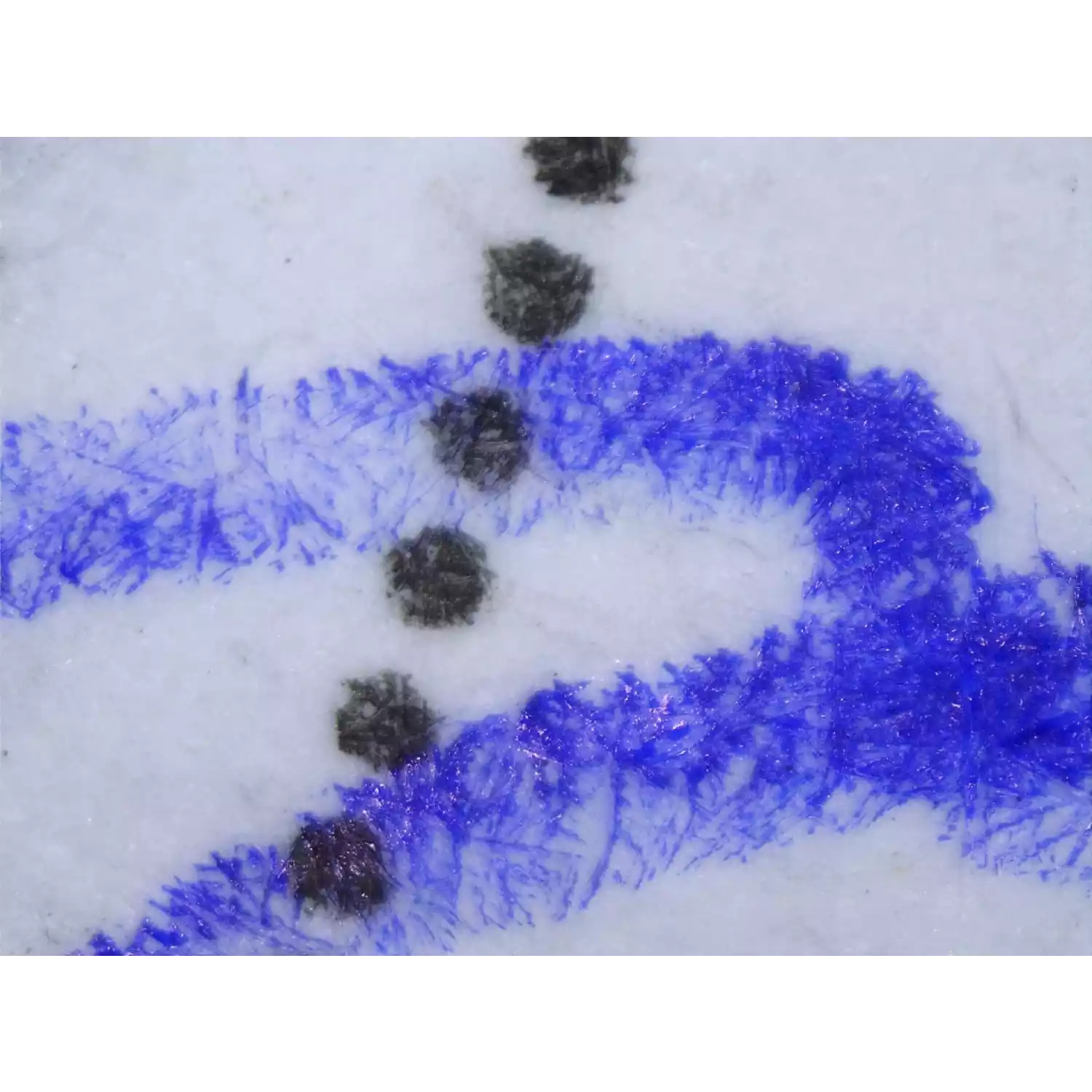 Цифровой USB-микроскоп со штативом МИКМЕД 5.0 - 8