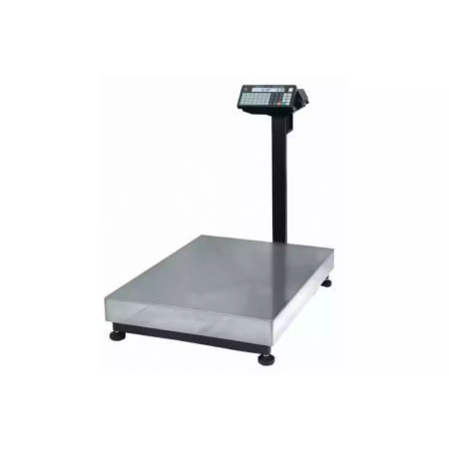 Весы-регистраторы с печатью этикеток ТВ-М-600.2-3 - 1