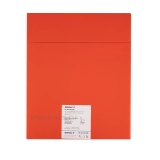 Рентгенпленка ФОМАКС Р5 30 × 40 NIF (100 листов) купить в Москве