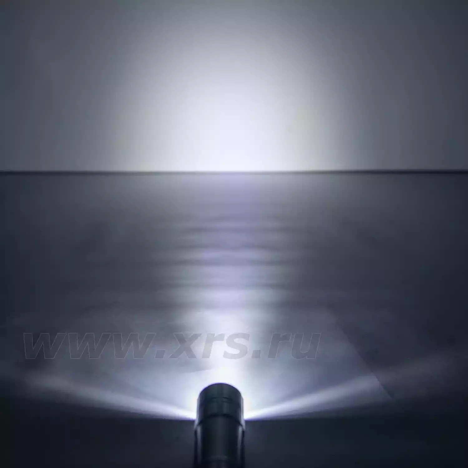 Фонарь ТРОФИ TM9 - 3