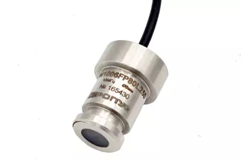 IPN1006 преобразователь иммерсионный 10 МГц