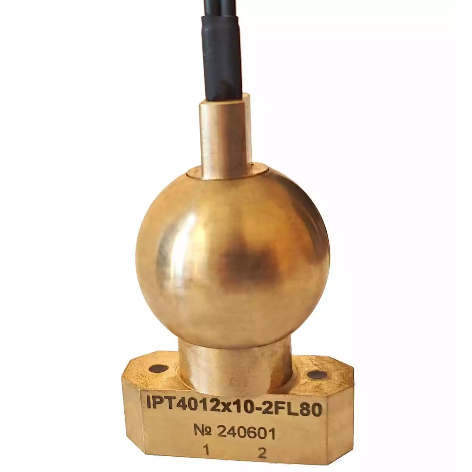 IPT4012x10-2 преобразователь иммерсионный 2-х канальный - 1