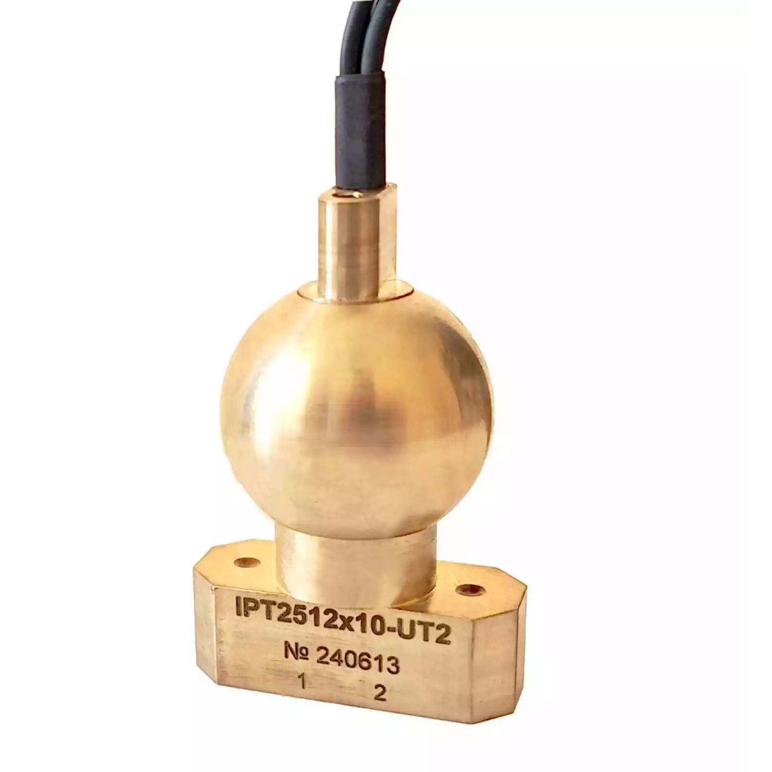 IPT2512x10-UT2 преобразователь иммерсионный 2-х канальный - 1