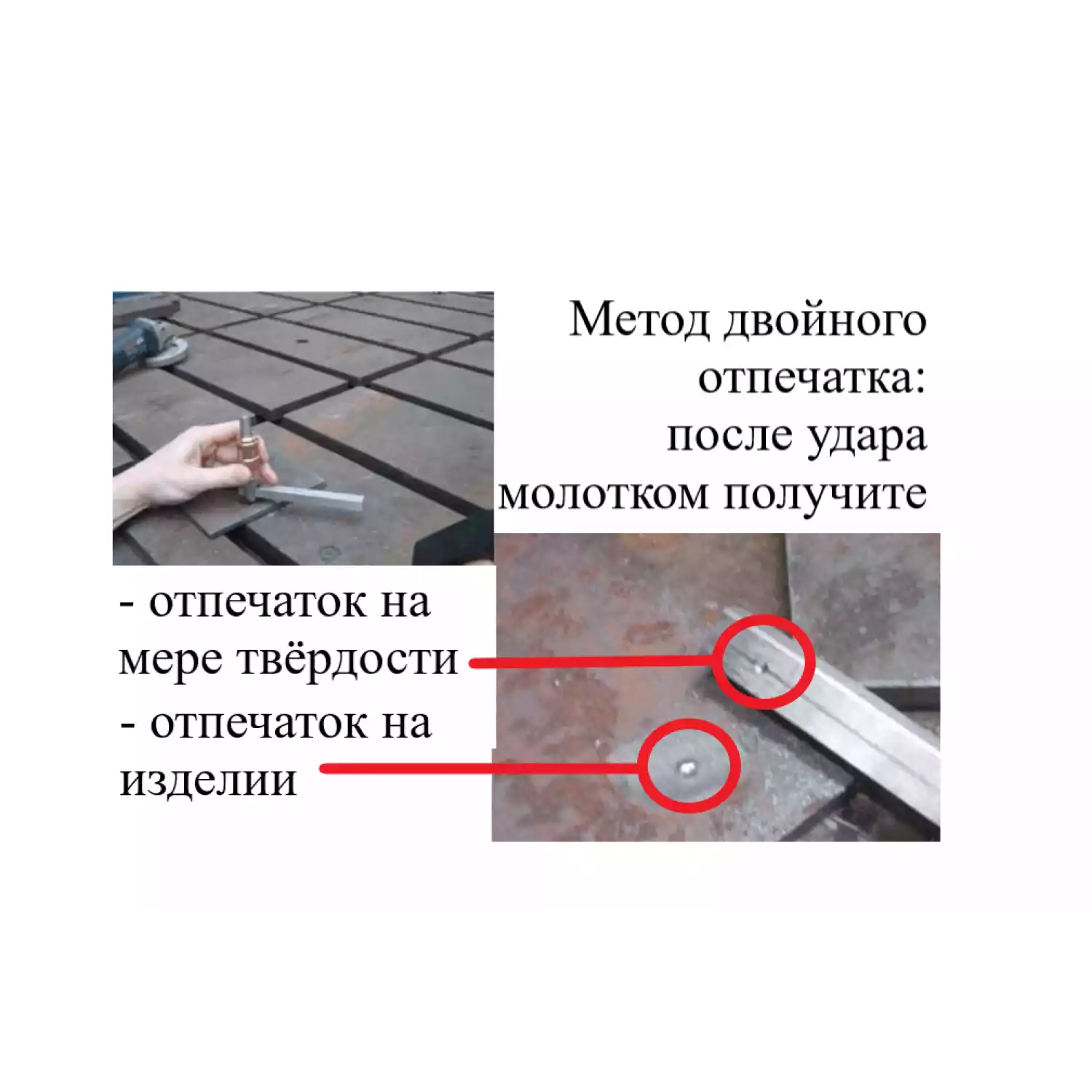 МТП-В7 мера твёрдости эталонная Польди по шкале Бринелль (поверке не подлежат) - 9