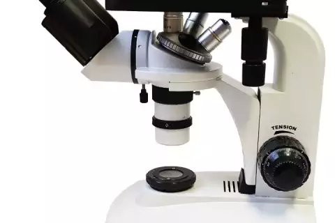 4XB Инвертированный микроскоп