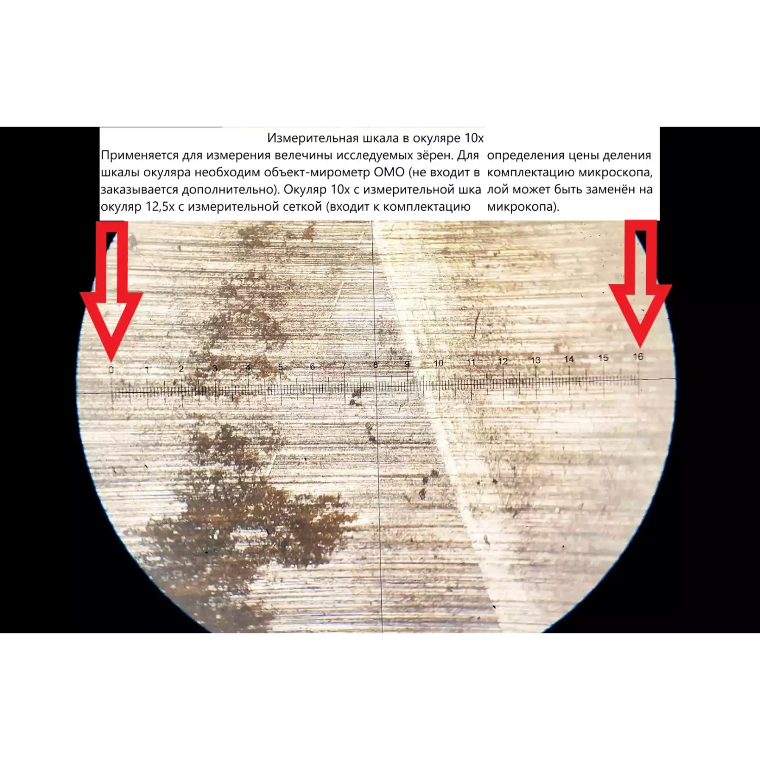 4XB Инвертированный микроскоп - 10