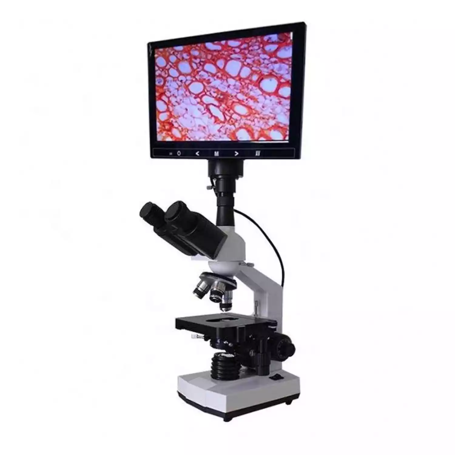 Бинокулярный микроскоп A34 - 1