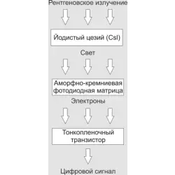 Плёночный или цифровой рентген - отличия