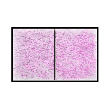 Тест-панель ASME V