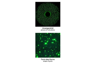 Helling Super Magna LY 2300 сухой концентрат 1 кг  концентрата для 100 литров суcпензии