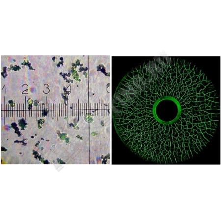 Концентрат Super Magna LY 1500