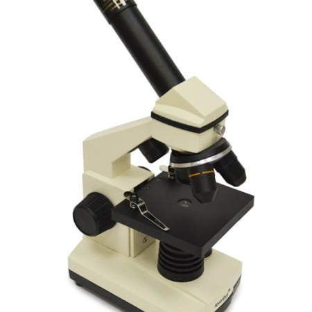 Микроскоп цифровой Levenhuk D2L NG