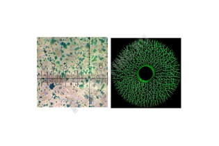 Магнитный порошок Super Magna CGY 4000