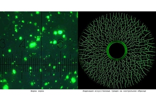 Флуоресцентный магнитный порошок Super Magna LY 2300